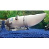 Submersible Titan plongeant au sel