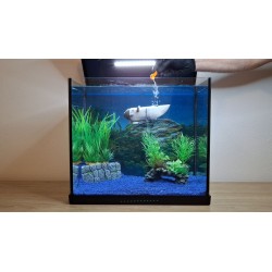 Submersible Titan plongeant au sel